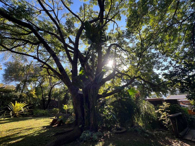 4 Bedroom Property for Sale in Thabazimbi Limpopo