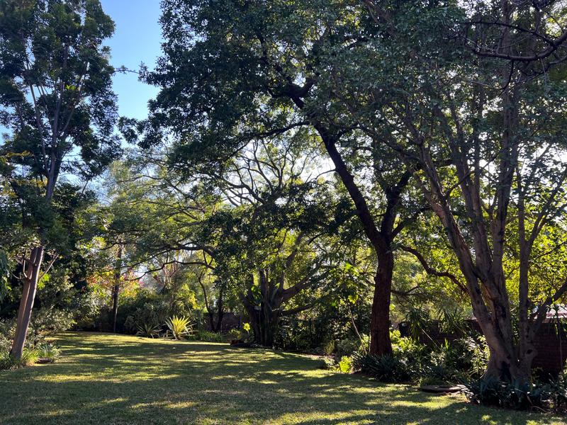 4 Bedroom Property for Sale in Thabazimbi Limpopo