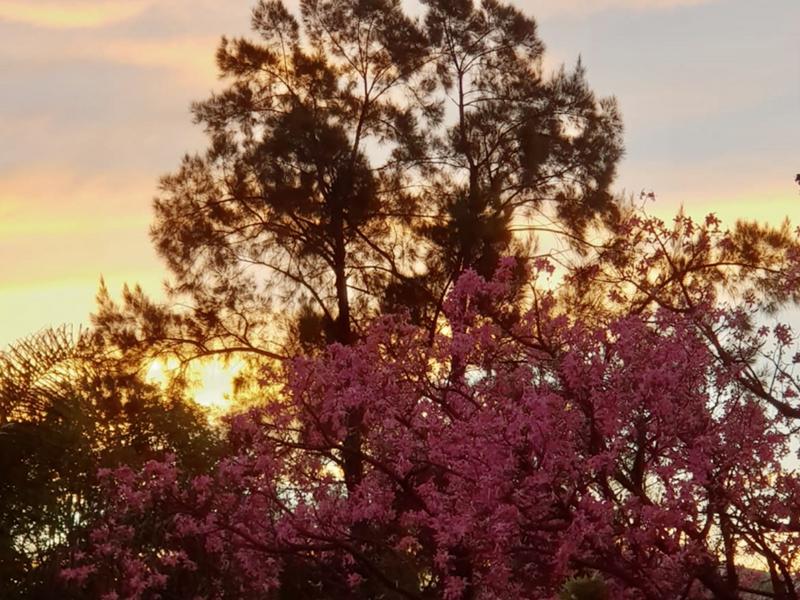 4 Bedroom Property for Sale in Thabazimbi Limpopo