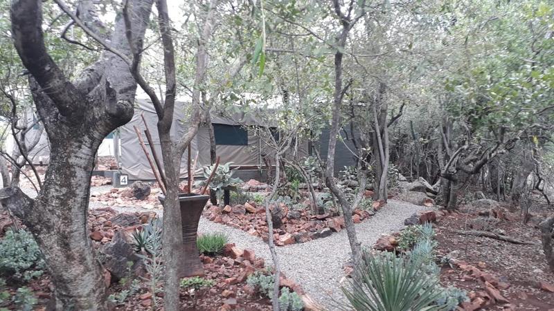 15 Bedroom Property for Sale in Croft Mohr Estate Limpopo