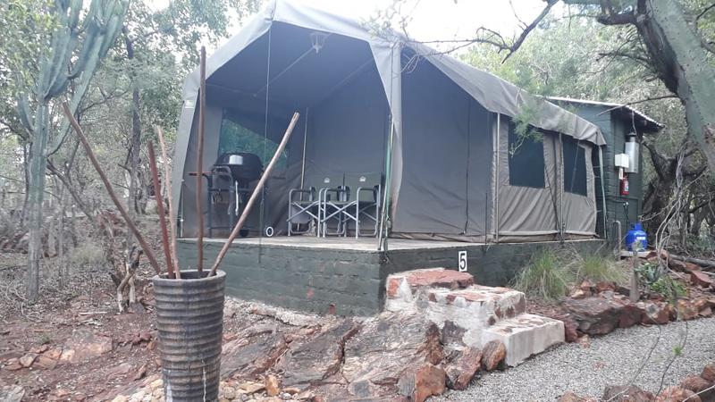 15 Bedroom Property for Sale in Croft Mohr Estate Limpopo