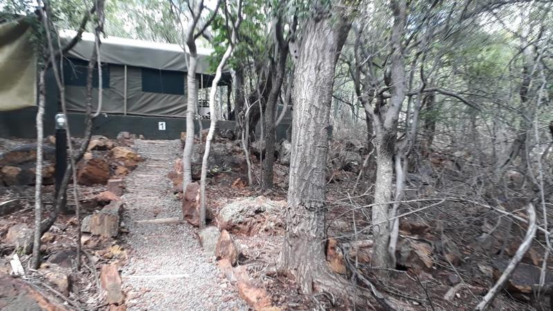 15 Bedroom Property for Sale in Croft Mohr Estate Limpopo