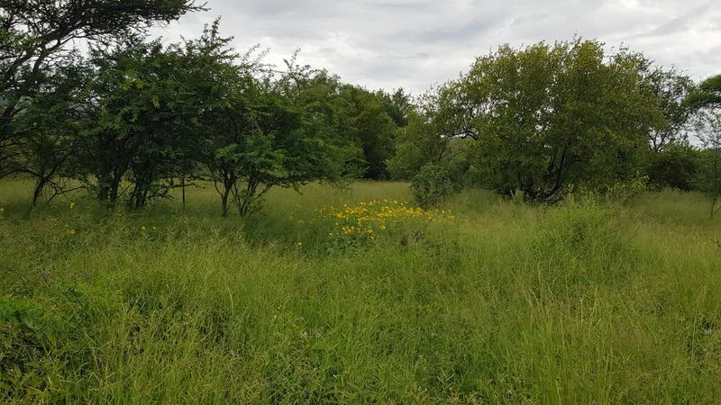 15 Bedroom Property for Sale in Croft Mohr Estate Limpopo