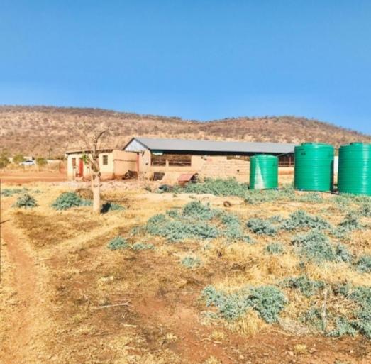 0 Bedroom Property for Sale in Lebowakgomo Limpopo