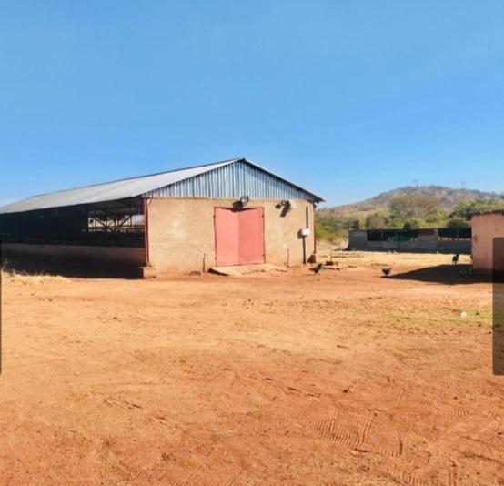 0 Bedroom Property for Sale in Lebowakgomo Limpopo