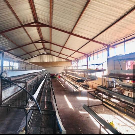 0 Bedroom Property for Sale in Lebowakgomo Limpopo