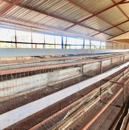 0 Bedroom Property for Sale in Lebowakgomo Limpopo