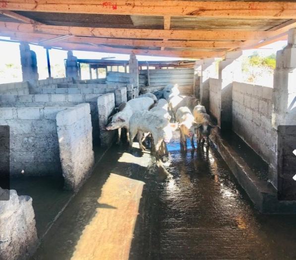 0 Bedroom Property for Sale in Lebowakgomo Limpopo