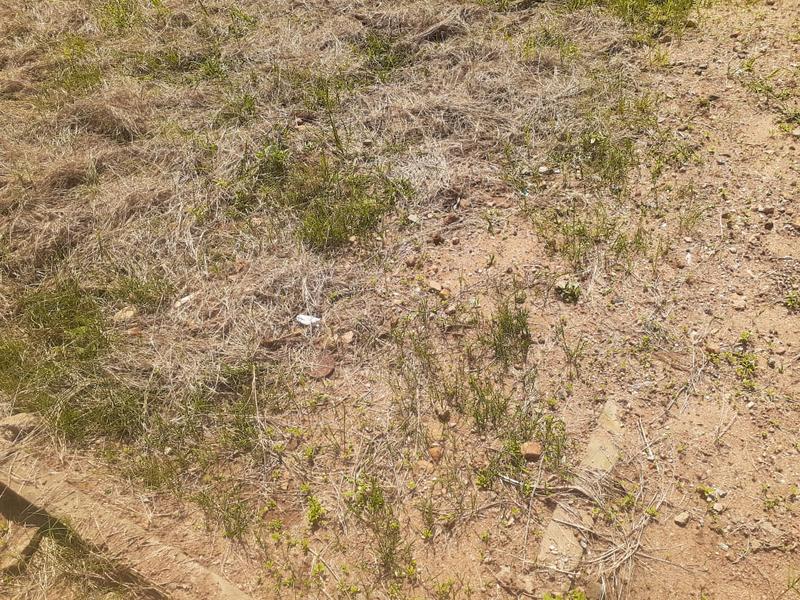 0 Bedroom Property for Sale in Gakgapane Limpopo