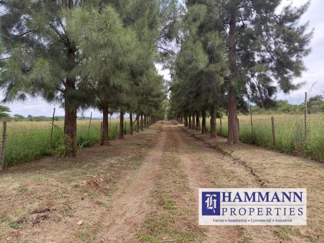 0 Bedroom Property for Sale in Louis Trichardt Limpopo