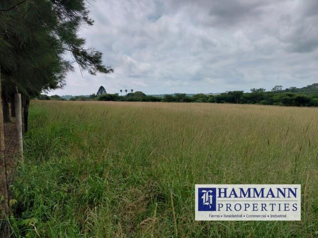 0 Bedroom Property for Sale in Louis Trichardt Limpopo