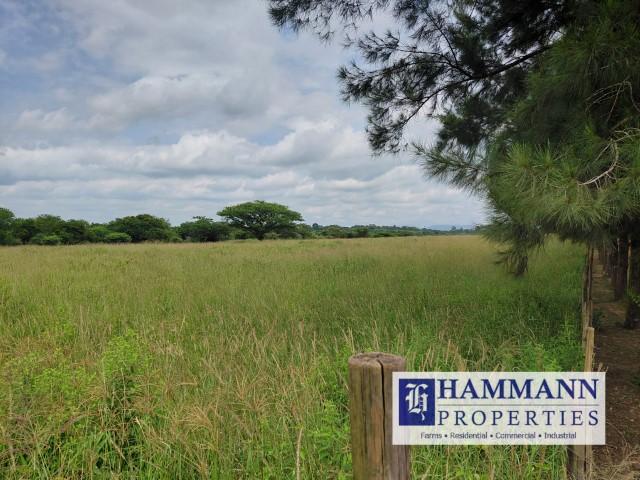 0 Bedroom Property for Sale in Louis Trichardt Limpopo