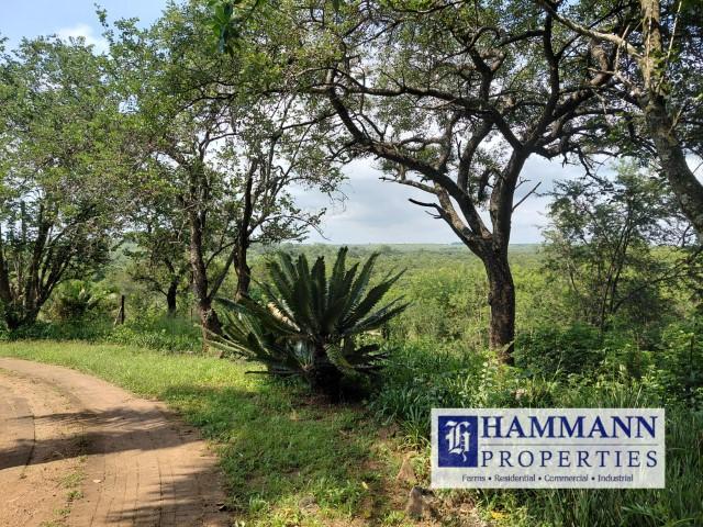 0 Bedroom Property for Sale in Louis Trichardt Limpopo
