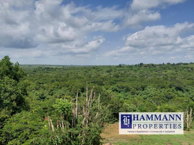 0 Bedroom Property for Sale in Louis Trichardt Limpopo