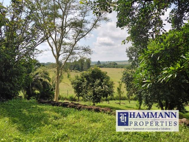 0 Bedroom Property for Sale in Louis Trichardt Limpopo