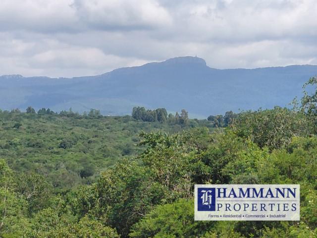 0 Bedroom Property for Sale in Louis Trichardt Limpopo