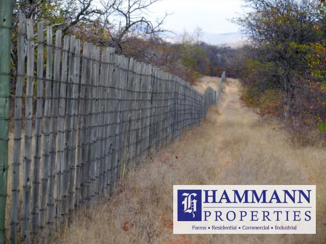 0 Bedroom Property for Sale in Musina Limpopo