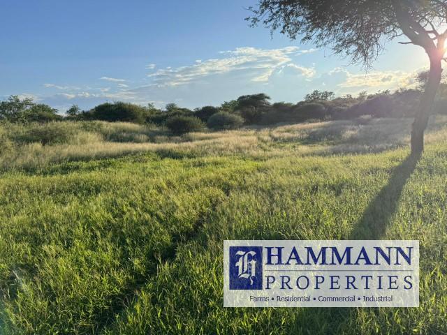 0 Bedroom Property for Sale in Musina Limpopo