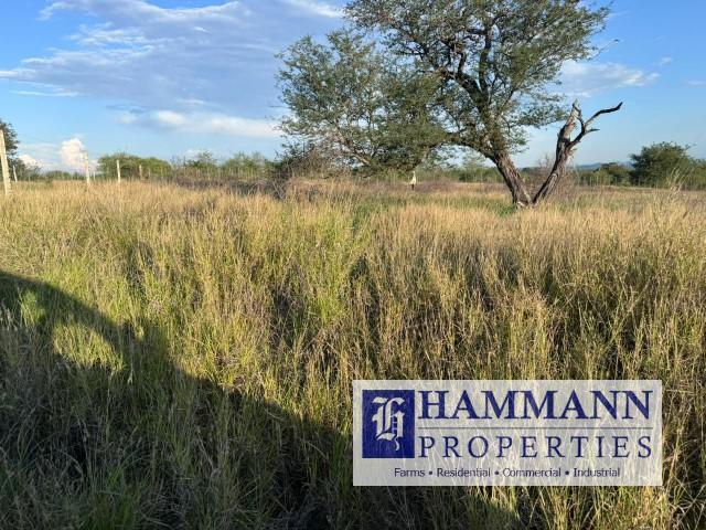 0 Bedroom Property for Sale in Musina Limpopo