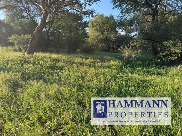 0 Bedroom Property for Sale in Musina Limpopo