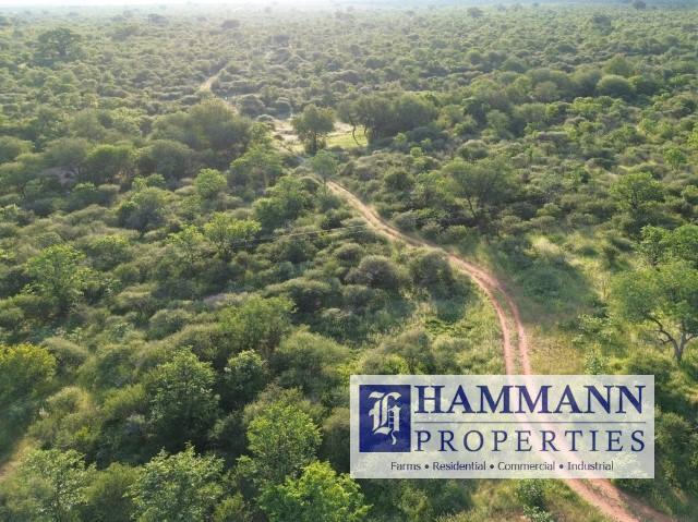 0 Bedroom Property for Sale in Musina Limpopo