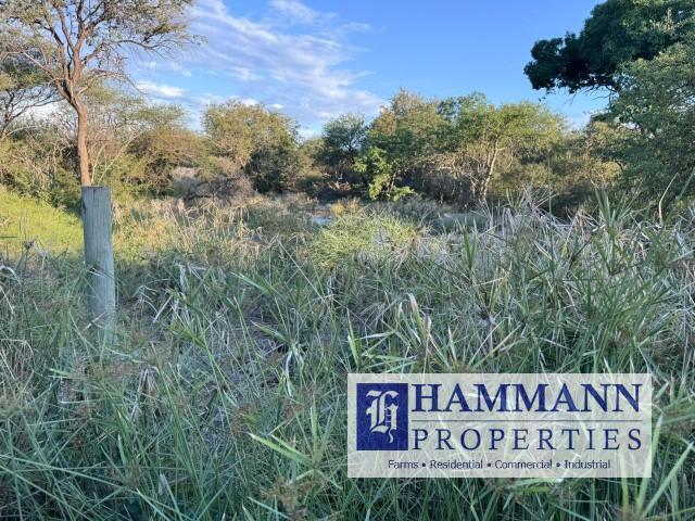 0 Bedroom Property for Sale in Musina Limpopo