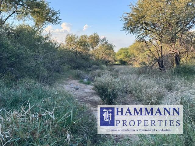 0 Bedroom Property for Sale in Musina Limpopo