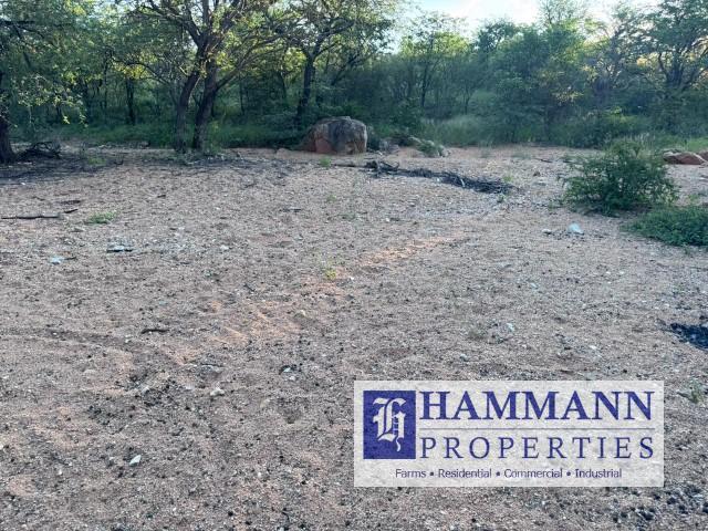 0 Bedroom Property for Sale in Musina Limpopo