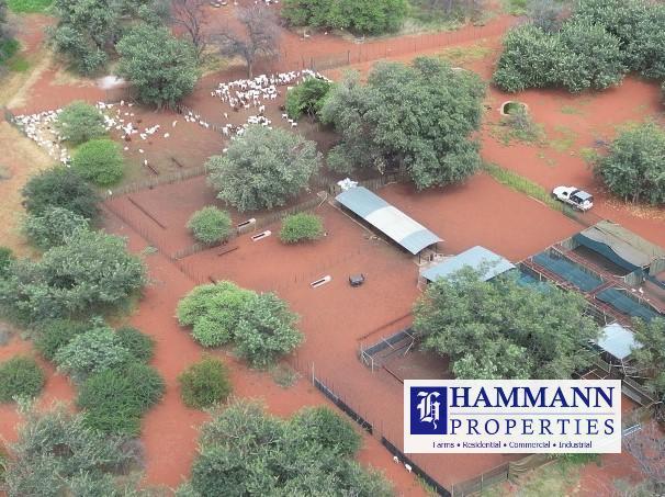 0 Bedroom Property for Sale in Vivo Limpopo