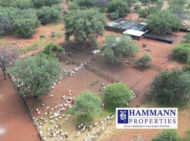 0 Bedroom Property for Sale in Vivo Limpopo