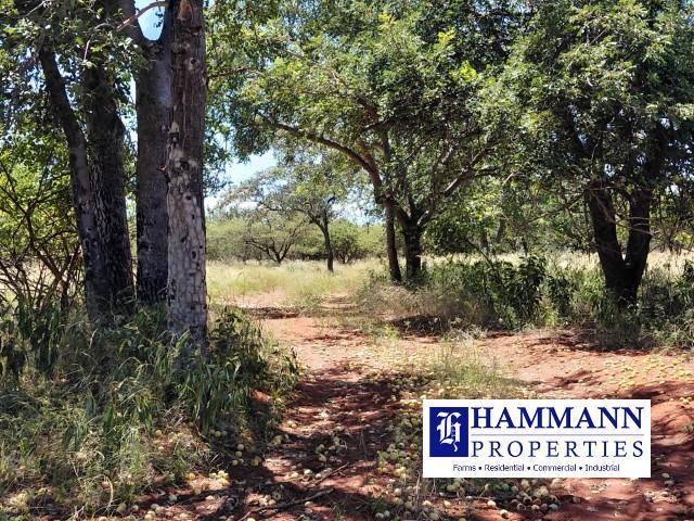 0 Bedroom Property for Sale in Vivo Limpopo