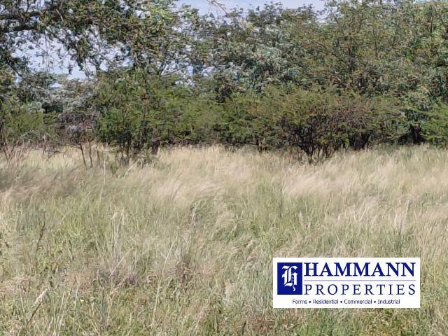 0 Bedroom Property for Sale in Vivo Limpopo