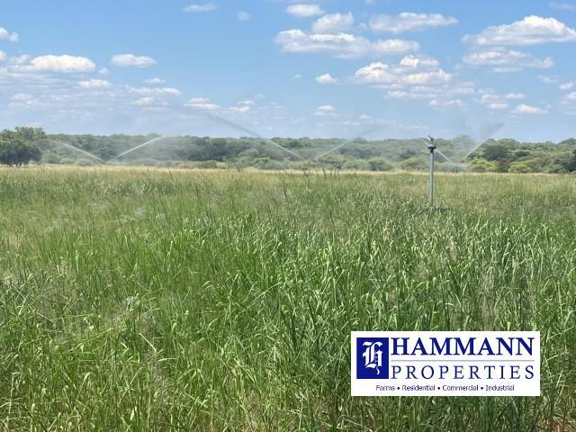 0 Bedroom Property for Sale in Vivo Limpopo