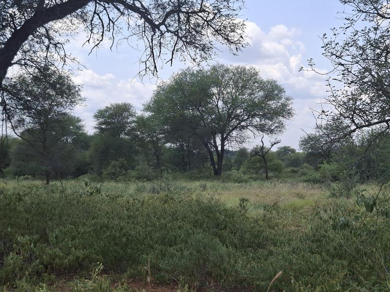 0 Bedroom Property for Sale in Lephalale Limpopo