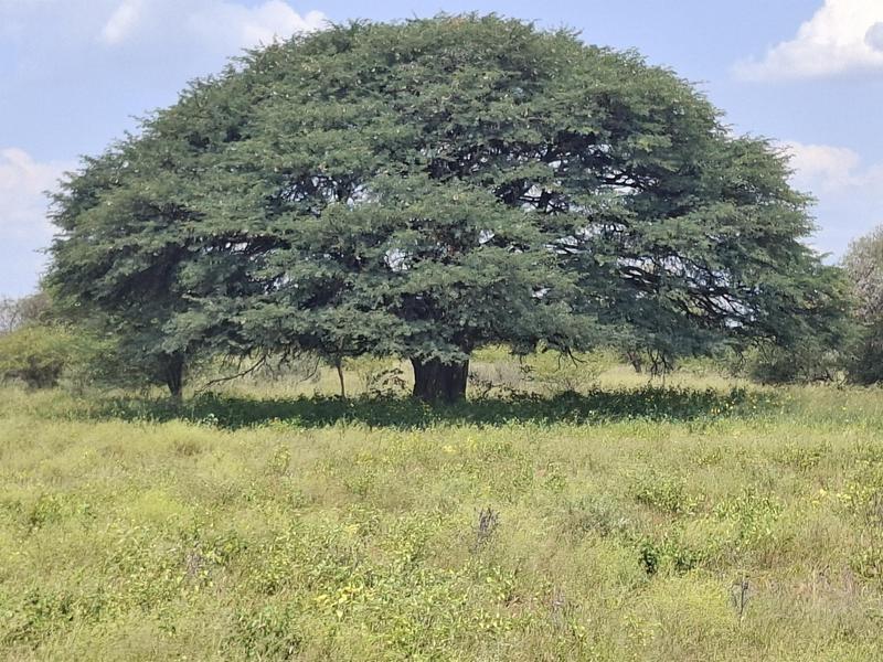 0 Bedroom Property for Sale in Lephalale Limpopo