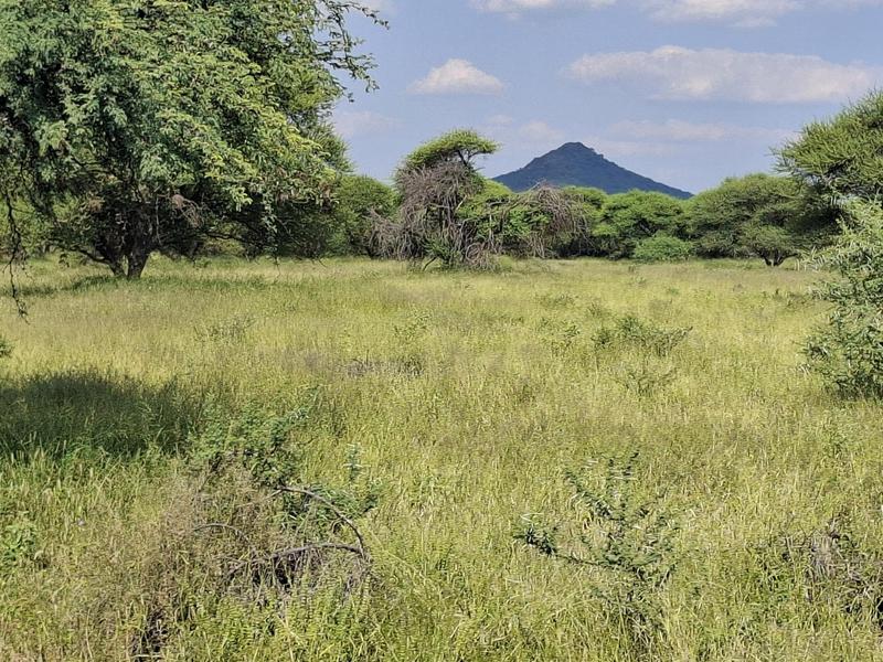 0 Bedroom Property for Sale in Lephalale Limpopo