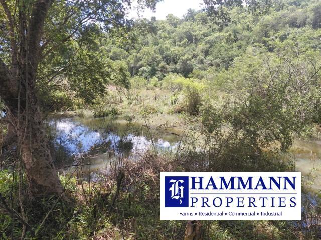 0 Bedroom Property for Sale in Levubu Limpopo