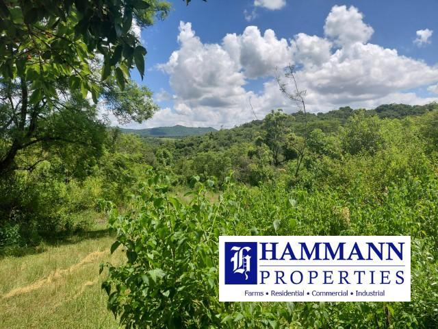 0 Bedroom Property for Sale in Levubu Limpopo