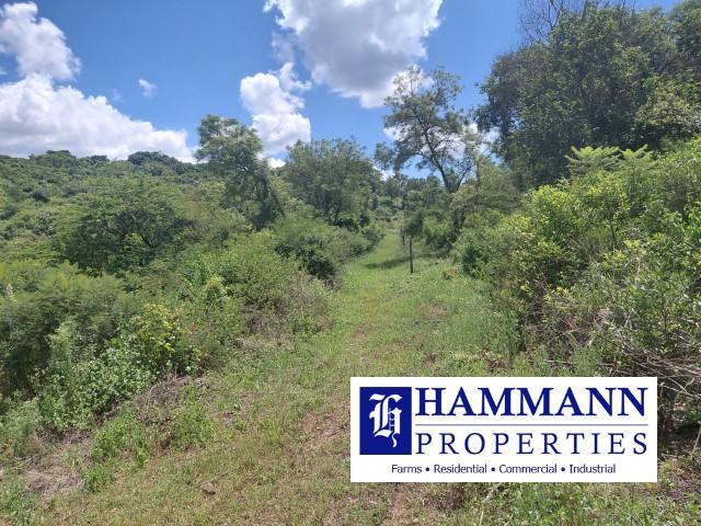 0 Bedroom Property for Sale in Levubu Limpopo