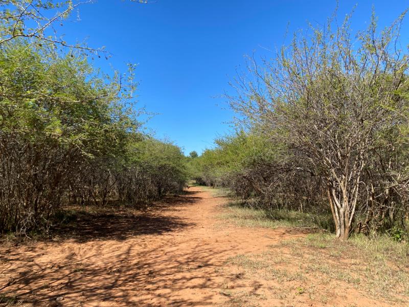 3 Bedroom Property for Sale in Mokopane Limpopo