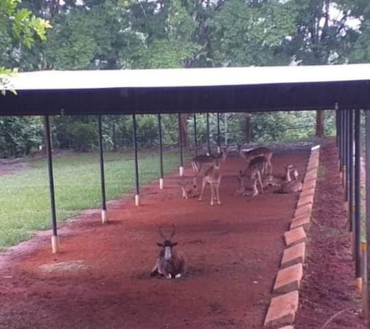 12 Bedroom Property for Sale in Lushof A H Limpopo