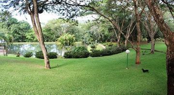 12 Bedroom Property for Sale in Lushof A H Limpopo