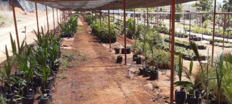 0 Bedroom Property for Sale in Lushof A H Limpopo