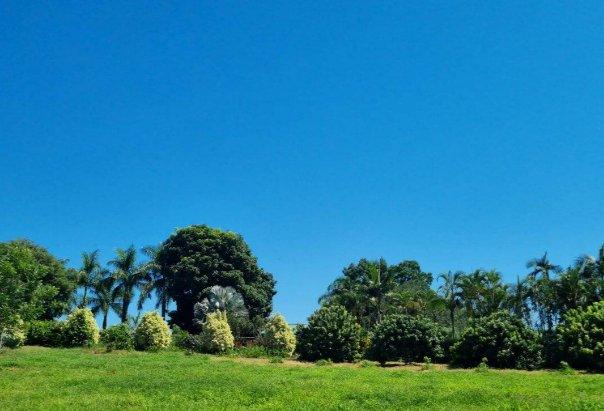 0 Bedroom Property for Sale in Lushof A H Limpopo