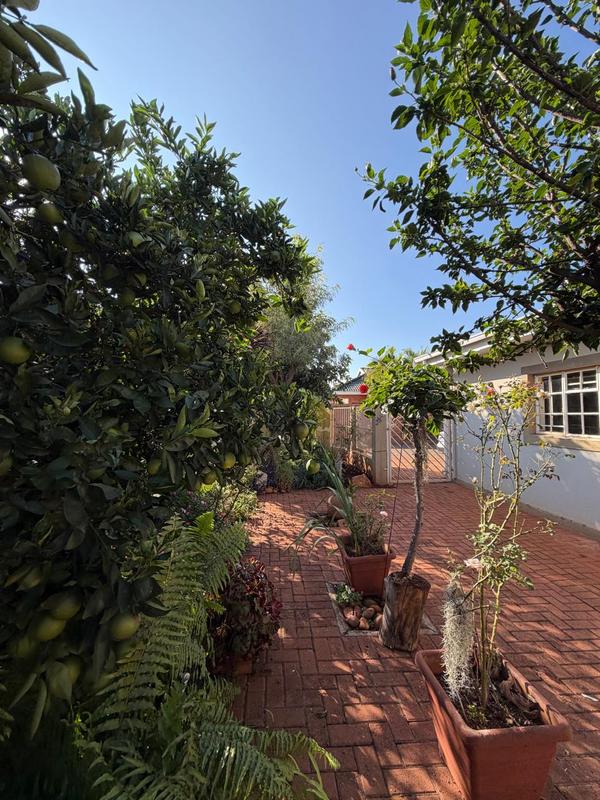 3 Bedroom Property for Sale in Kameeldoringpark Limpopo