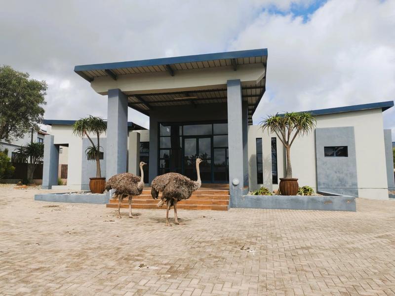 0 Bedroom Property for Sale in Celtic Lodge Eco Estate Limpopo