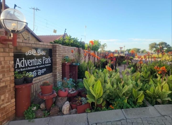 To Let 3 Bedroom Property for Rent in Ladanna Limpopo