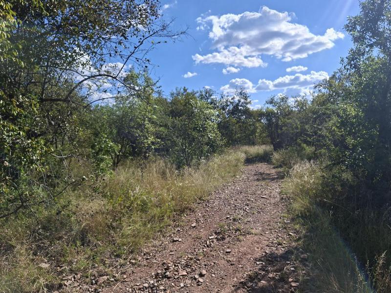 4 Bedroom Property for Sale in Vaalwater Limpopo