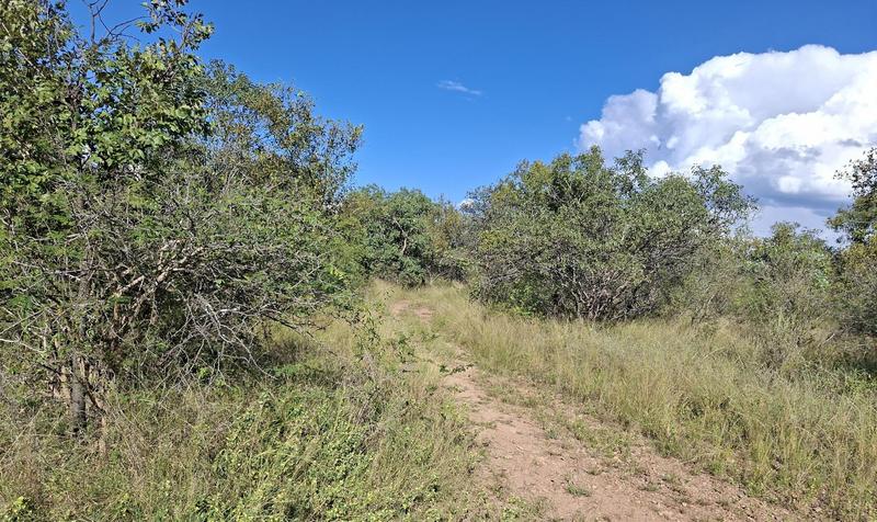4 Bedroom Property for Sale in Vaalwater Limpopo