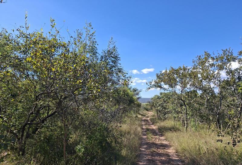 4 Bedroom Property for Sale in Vaalwater Limpopo